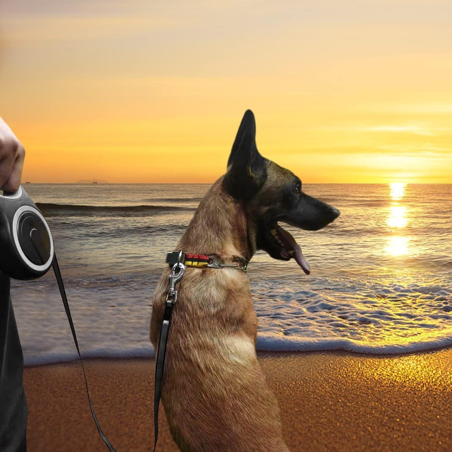 26ft Retractable Dog Leash – Heavy Duty for Dogs up to 110 lbs - Paw Fit Gears