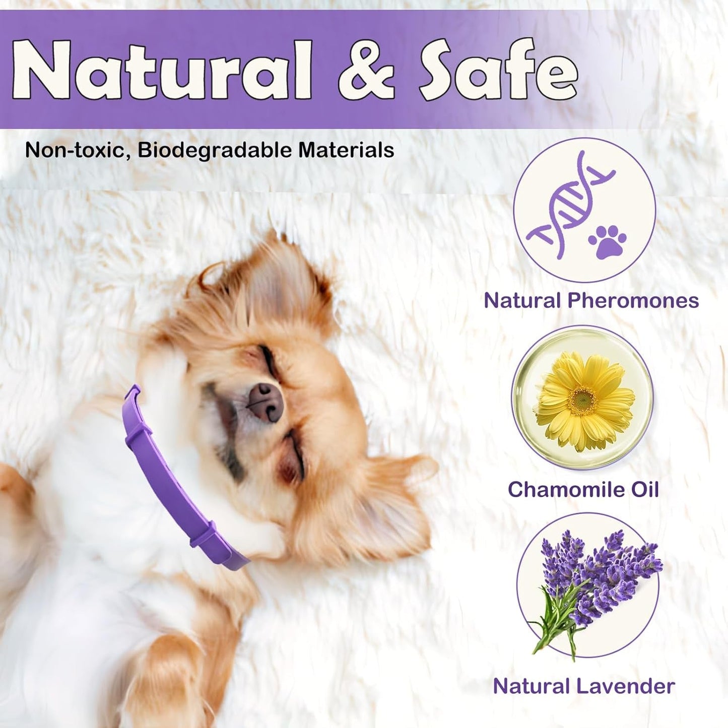 Natural Pheromone Calming Collar - Paw Fit Gears