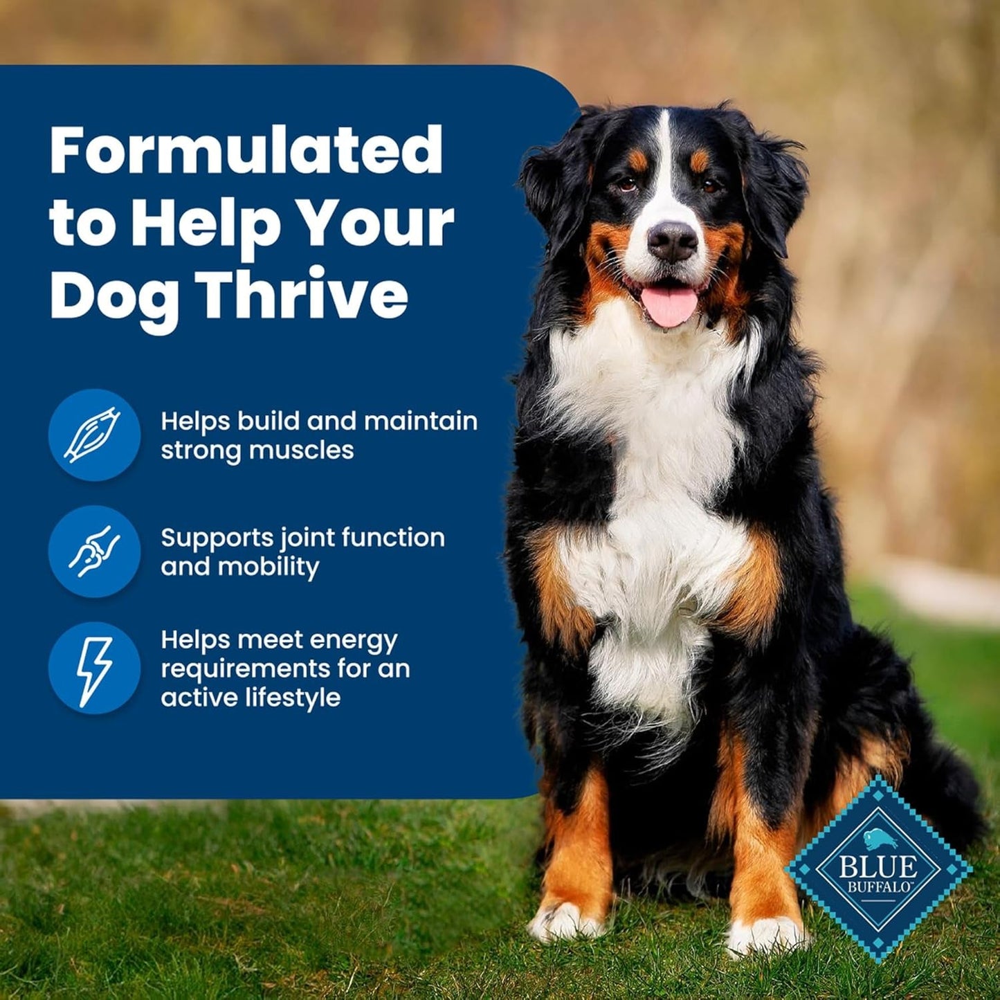 Blue Buffalo Life Protection Adult Dog Food – Chicken & Brown Rice, 30 lb - Paw Fit Gears