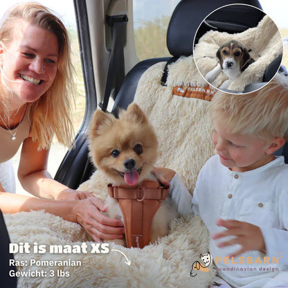 Car Dog Bed+ Free Seat Belt