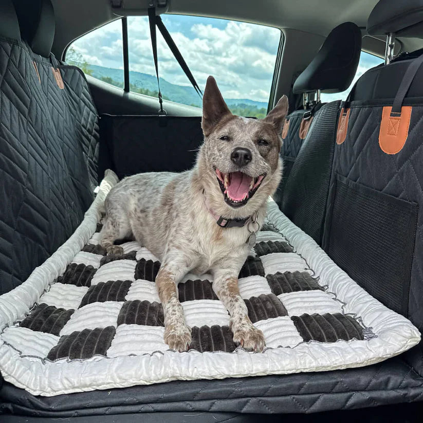 Hard Bottom 6-In-1 Dog Back Seat Cover , Waterproof Mesh Window, Non-Slip for Cars, Trucks and Suvs + FREE Dog Bed+ FREE Dog Safety Belt