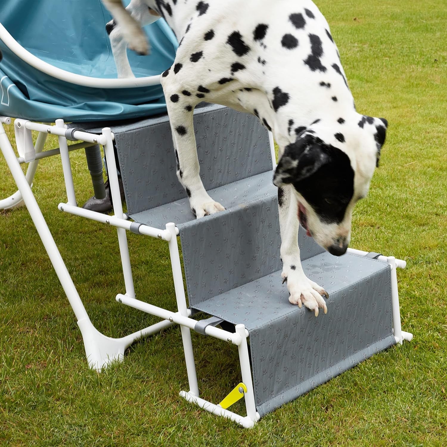 Furesh Big Dipper Foldable Dog Bath with Stairs – Elevated Pet Wash Station - Paw Fit Gears