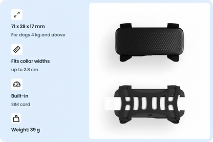 Smart collar for dogs