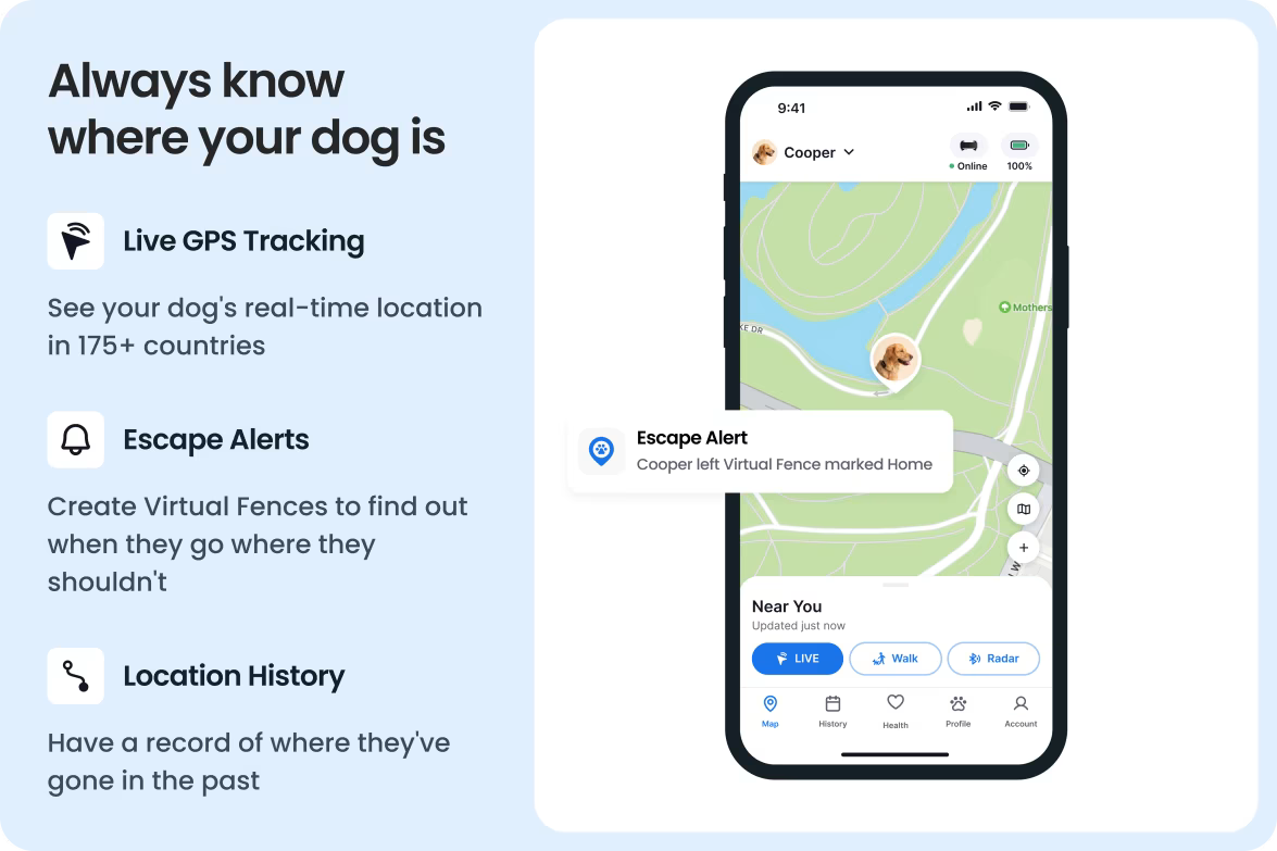 Smart collar for dogs