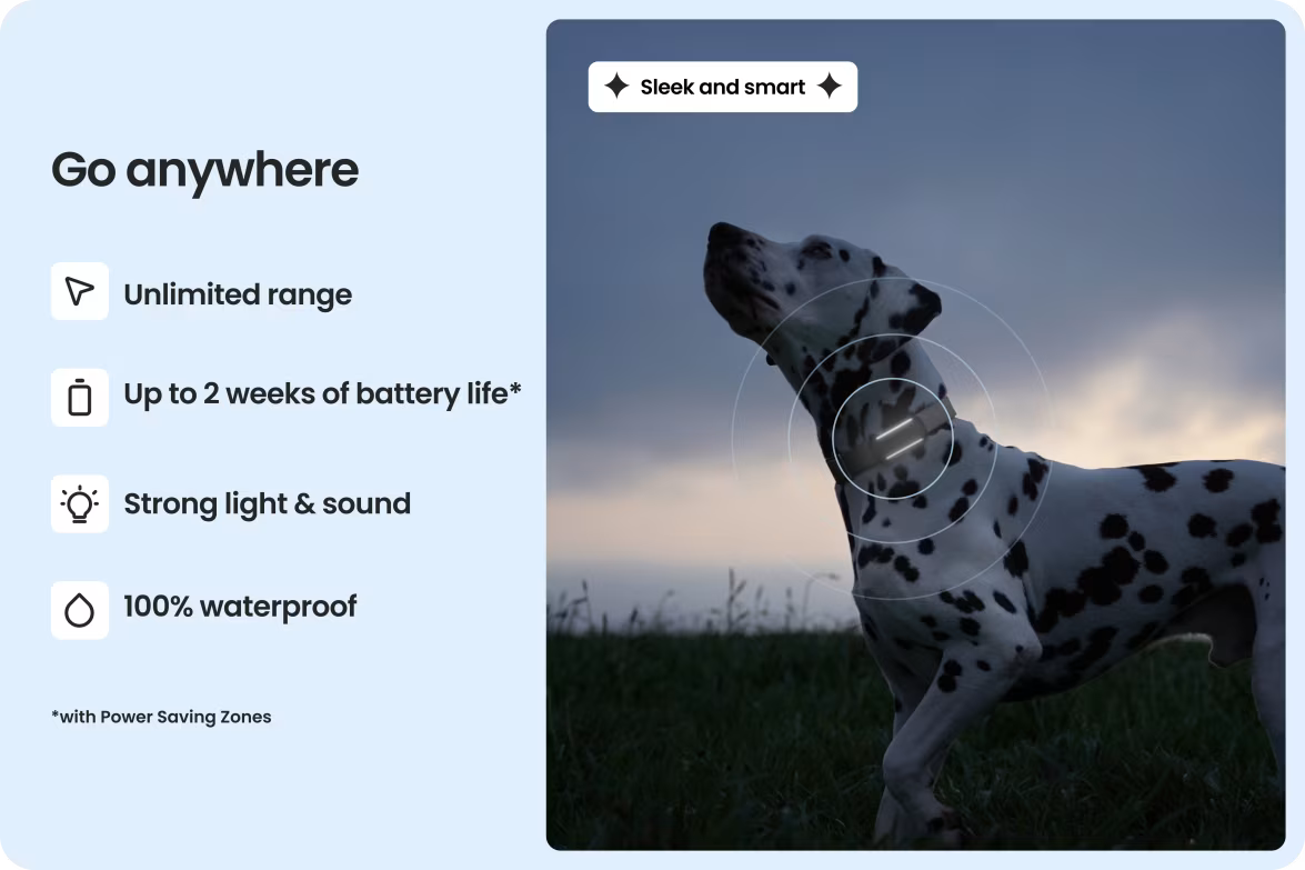 Smart collar for dogs